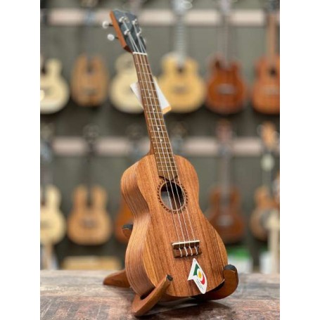 APC CS Concerto Simple