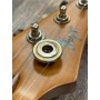 Flight Pathfinder Electric Tenor