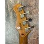 Flight Pathfinder Electric Tenor