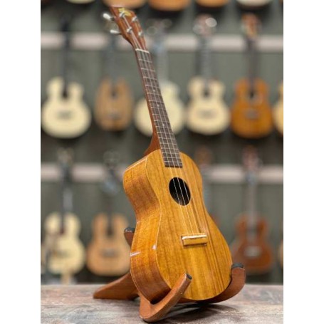 Kiwaya (Famous) FC-5G Concert