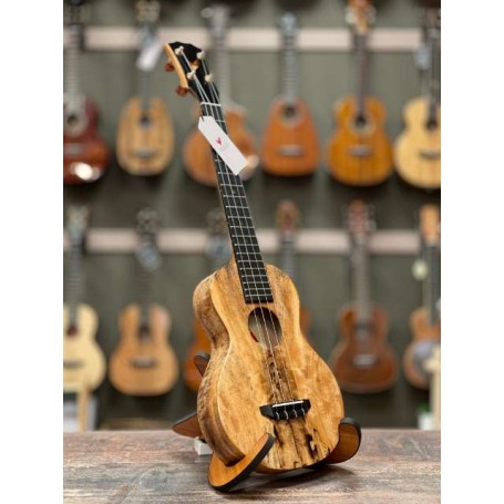 The Rebel Crème Brûlée Concert Long-neck