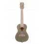 Kala Sparkle series Concert