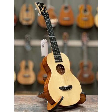 The Rebel Cheesecake Concert