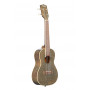 Kala Sparkle series Concert
