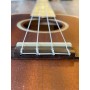 Ohana CK-39 Concert
