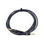 Jack D'addario PW-G-10