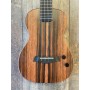 Kala Solid Body Striped Ebony Tenor