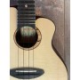 aNueNue UC200 Concert Moon Bird