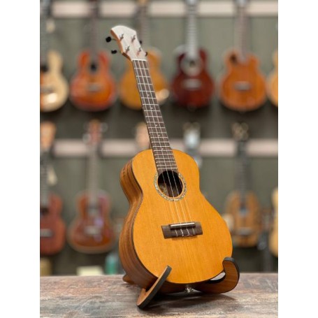 aNueNue C4E Concert Électro