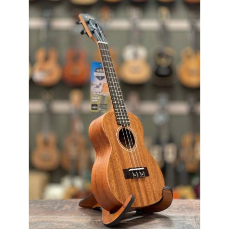 Kala James Hill Signature Concert