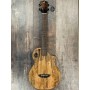 Flight Aviator Baritone
