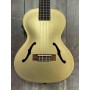 Kala Kalamazoo Gold Archtop Ténor