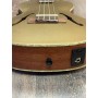 Kala Kalamazoo Gold Archtop Ténor