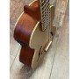 Kala Kalamazoo Gold Archtop Ténor