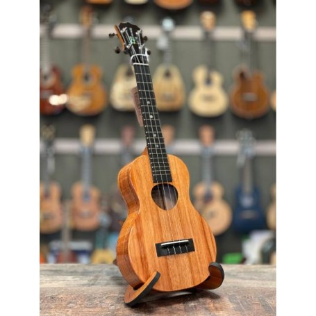 KoAloha KCM-00 Concert