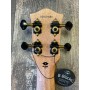 Flight Aviator Baritone Électro-acoustique
