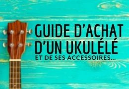 Guide D'achat d'un Ukulélé et des ses Accessoires